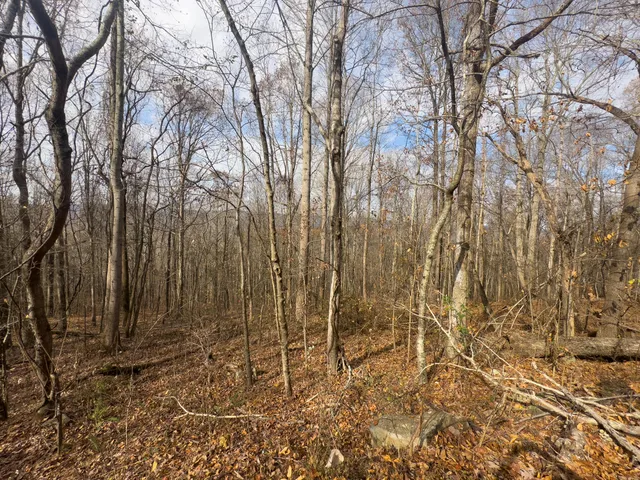 $115,000 | 0 Highway 27, Whitwell, TN 37397