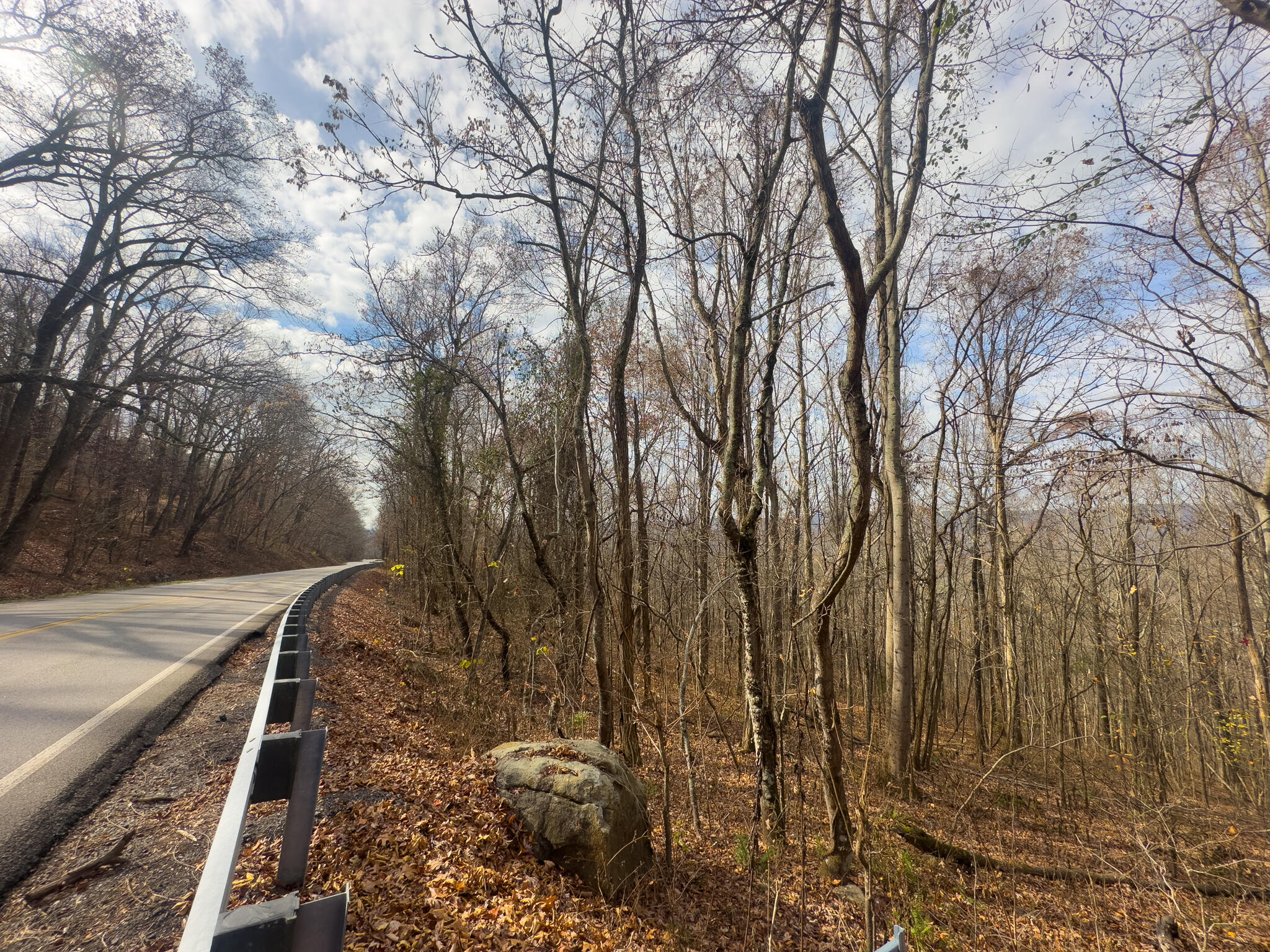 0 Highway 27 Whitwell, TN 37397 - Photo 6 of 19 SuckCreek-7