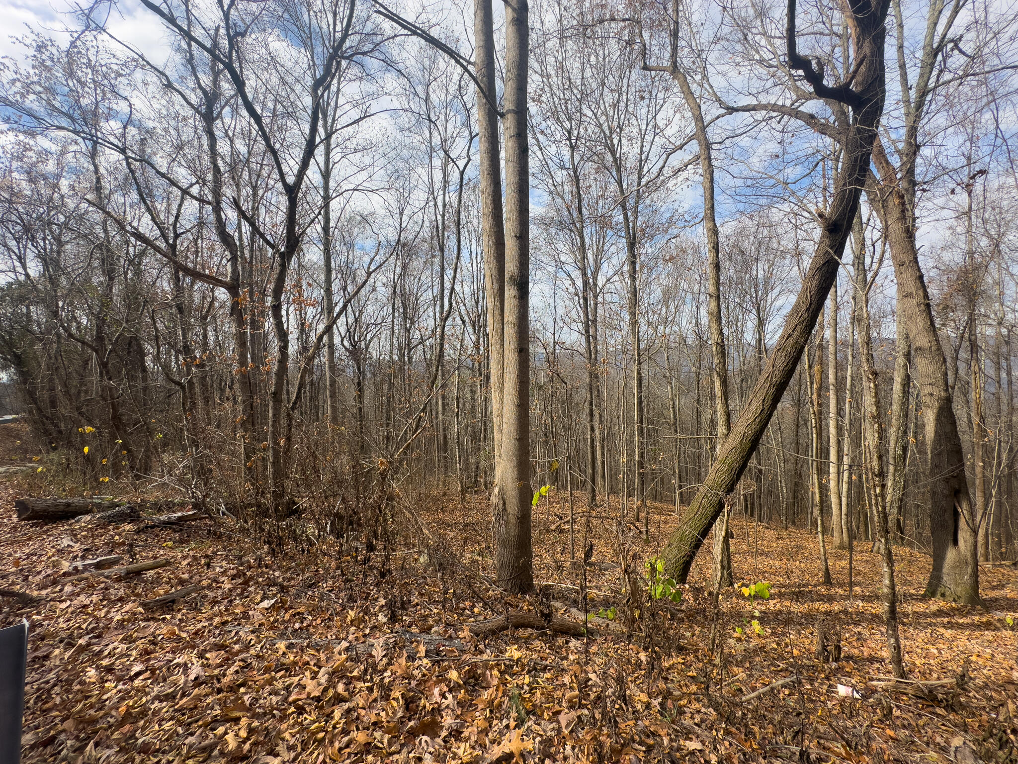 0 Highway 27 Whitwell, TN 37397 - Photo 7 of 19 SuckCreek-8