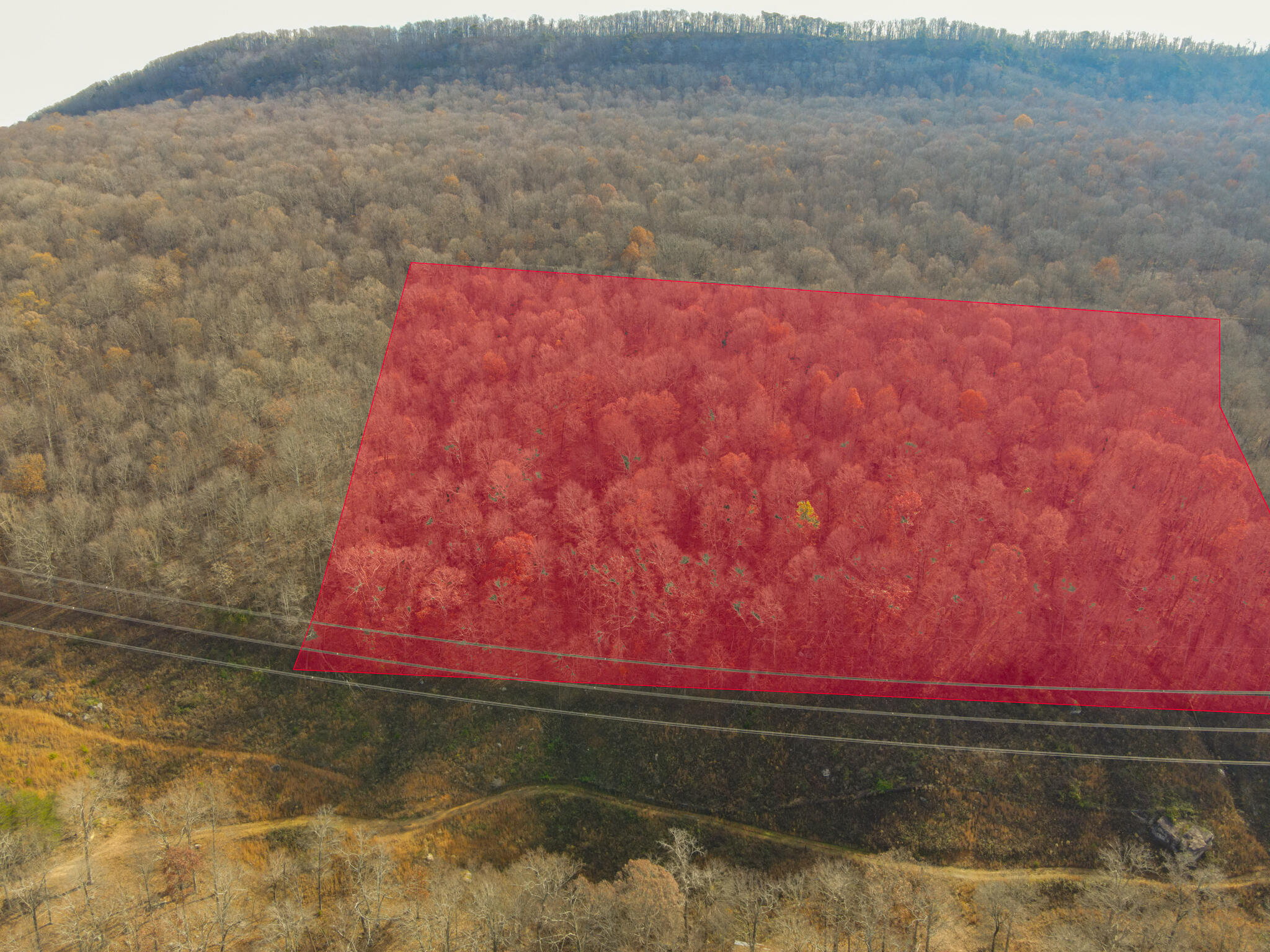 0 Highway 27 Whitwell, TN 37397 - Photo 8 of 19 SuckCreek-15