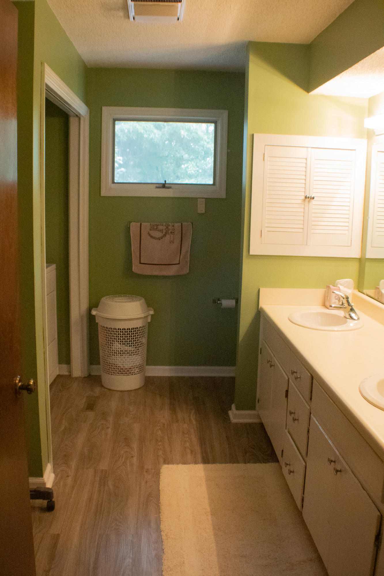 174 Hidden Lane Spring City, TN 37381 - Photo 12 of 25 Bathroom