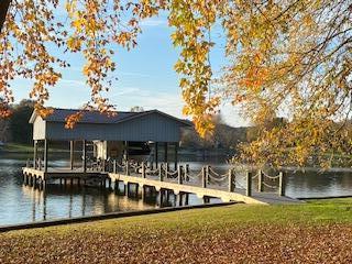 174 Hidden Lane Spring City, TN 37381 - Photo 24 of 25 Boat Dock