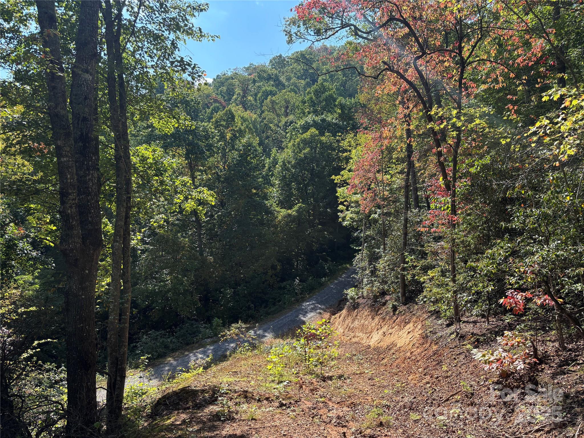 1887 Monteith Branch Road Sylva, NC 28779 - Photo 11 of 35 a view of a yard with plants