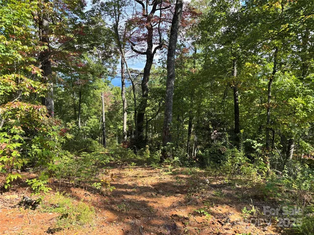 a view of outdoor space and trees