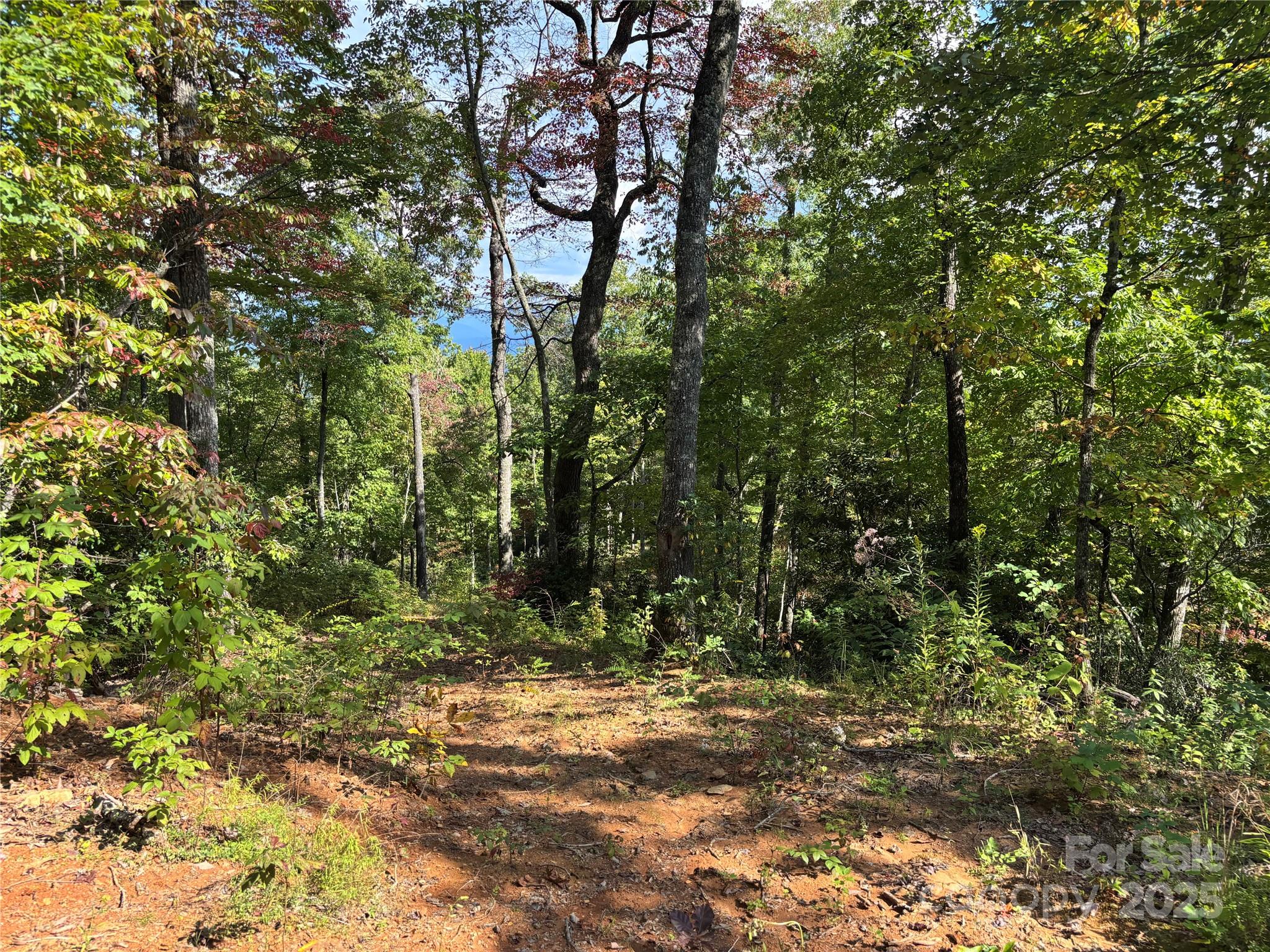 1887 Monteith Branch Road Sylva, NC 28779 - Photo 16 of 35 a view of outdoor space and trees