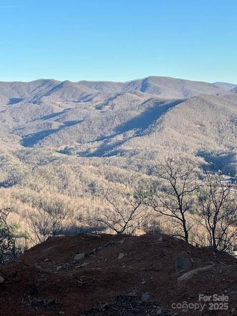1887 Monteith Branch Road Sylva, NC 28779 - Photo 2 of 35 a view of ocean view