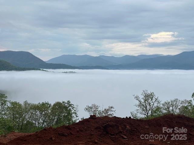 1887 Monteith Branch Road Sylva, NC 28779 - Photo 21 of 35 a view of lake with mountain