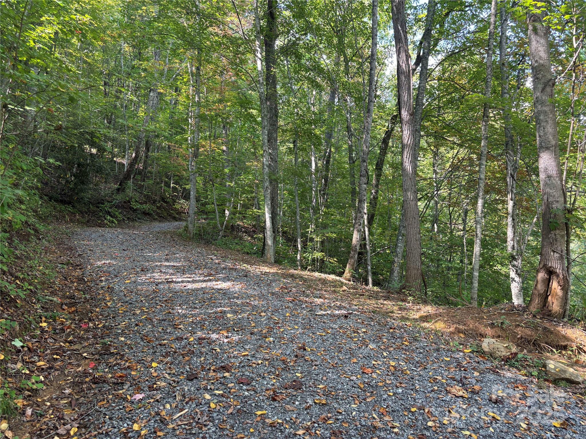 1887 Monteith Branch Road Sylva, NC 28779 - Photo 22 of 35 a view of outdoor space and yard