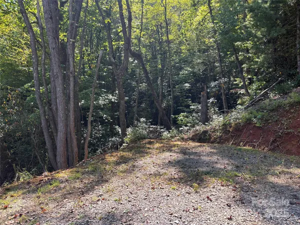 a view of a yard with trees
