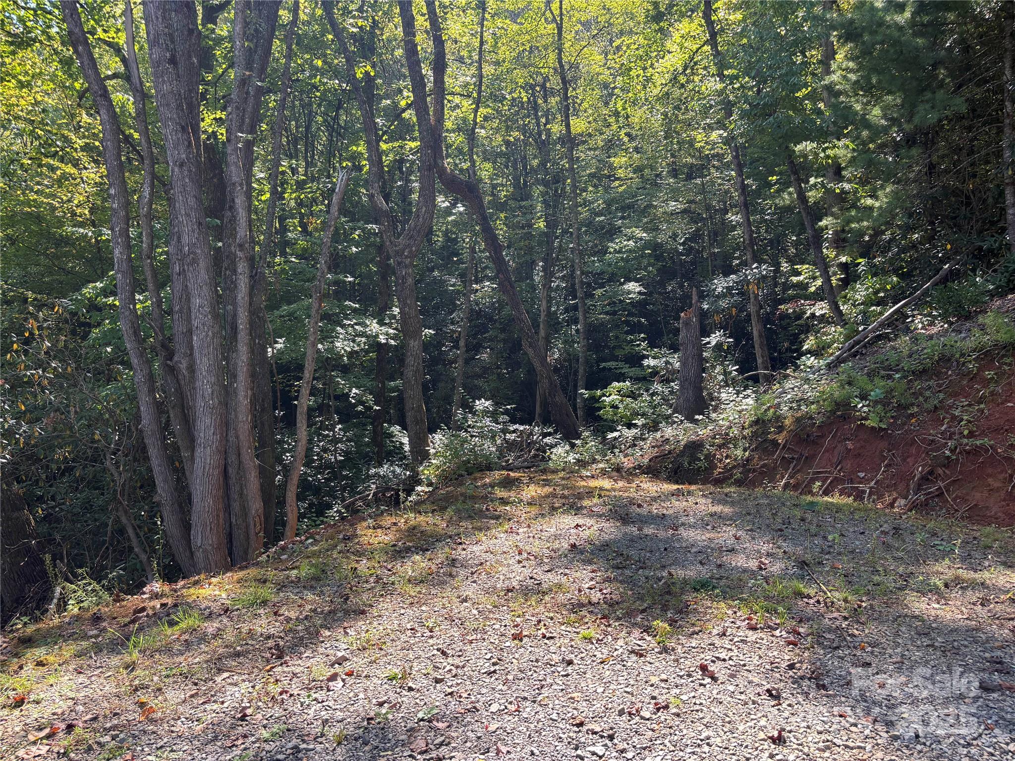 1887 Monteith Branch Road Sylva, NC 28779 - Photo 23 of 35 a view of a yard with trees