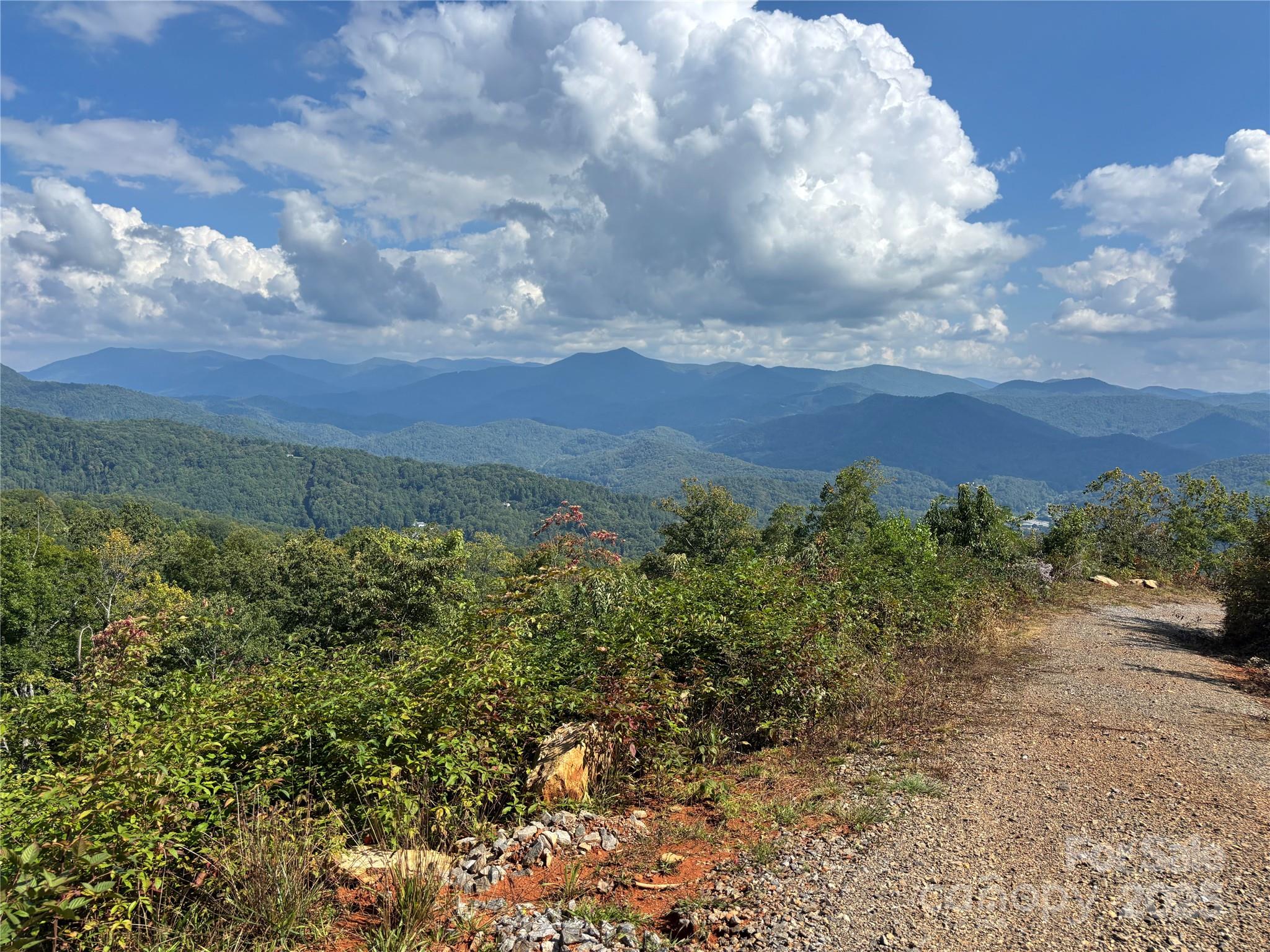 1887 Monteith Branch Road Sylva, NC 28779 - Photo 25 of 35 a view of a bunch of trees