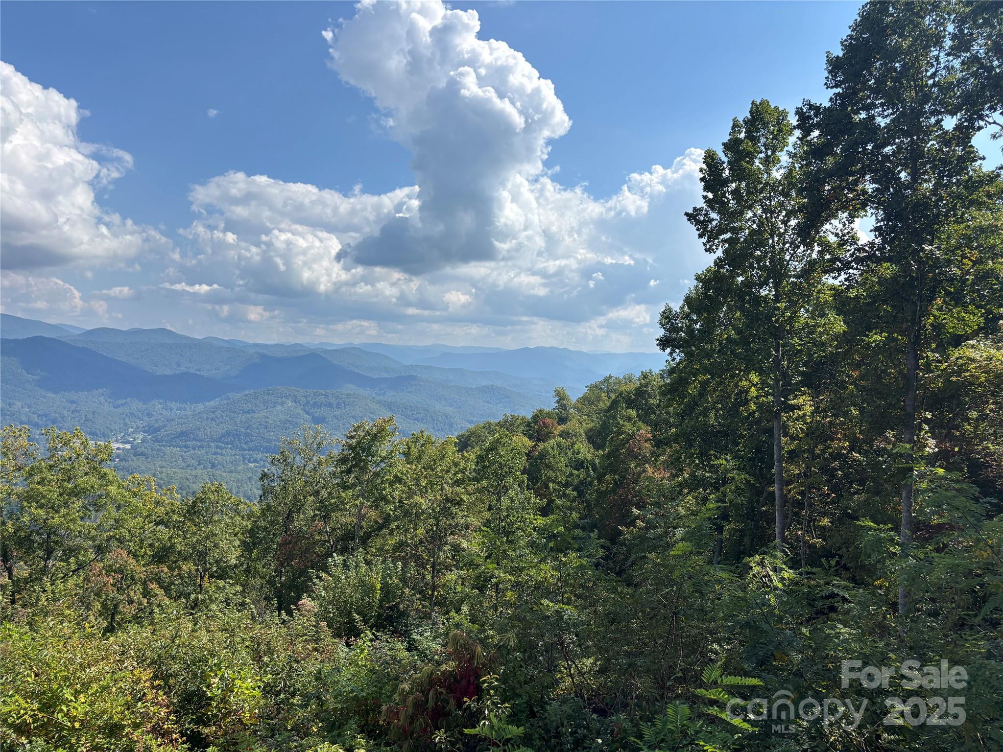 1887 Monteith Branch Road Sylva, NC 28779 - Photo 26 of 35 an aerial view of a house