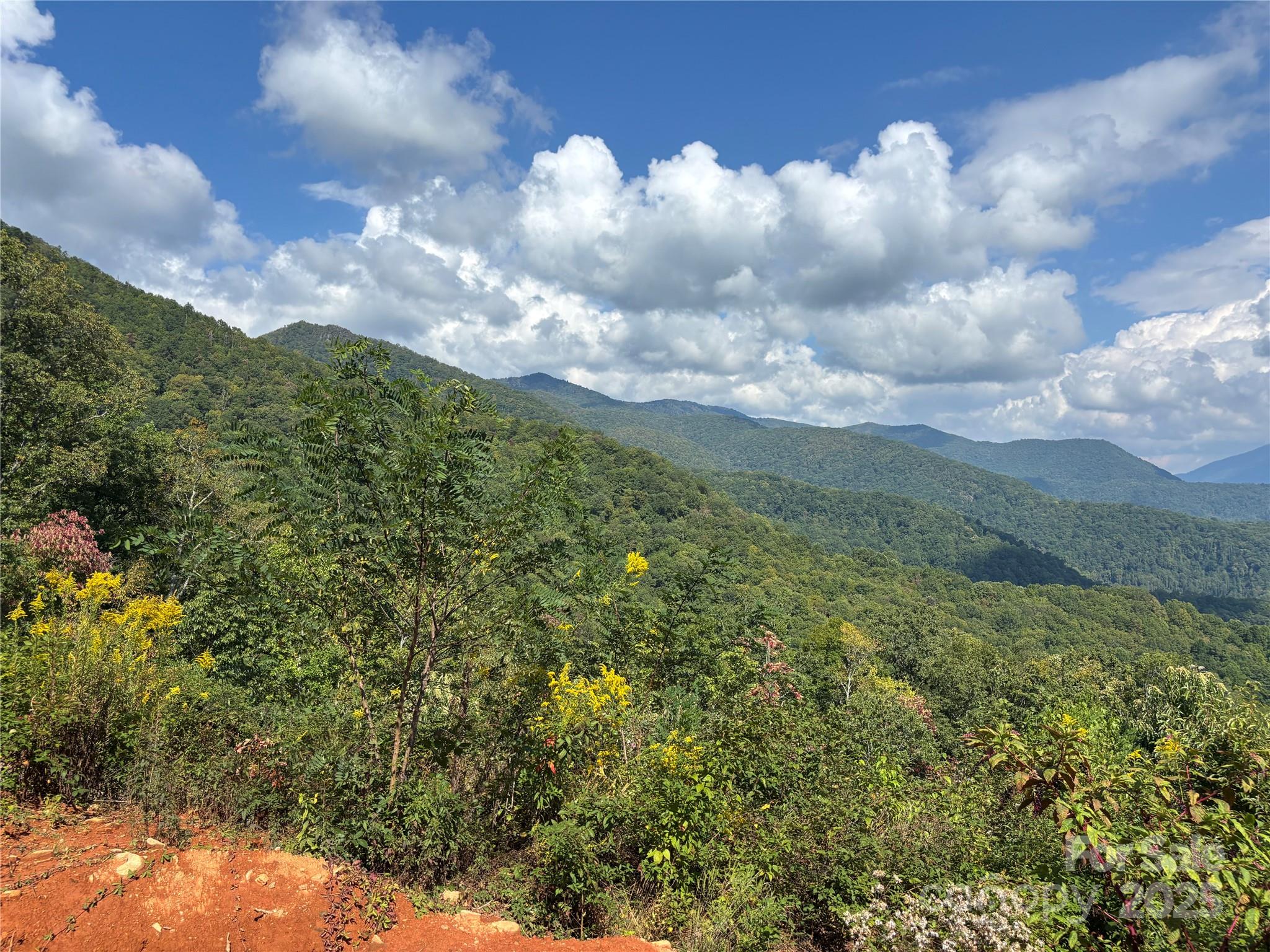 1887 Monteith Branch Road Sylva, NC 28779 - Photo 27 of 35 a view of a bunch of trees