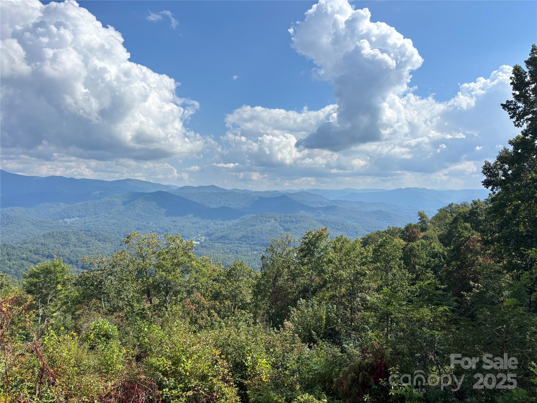 1887 Monteith Branch Road Sylva, NC 28779 - Photo 28 of 35 a view of a lake in middle of forest