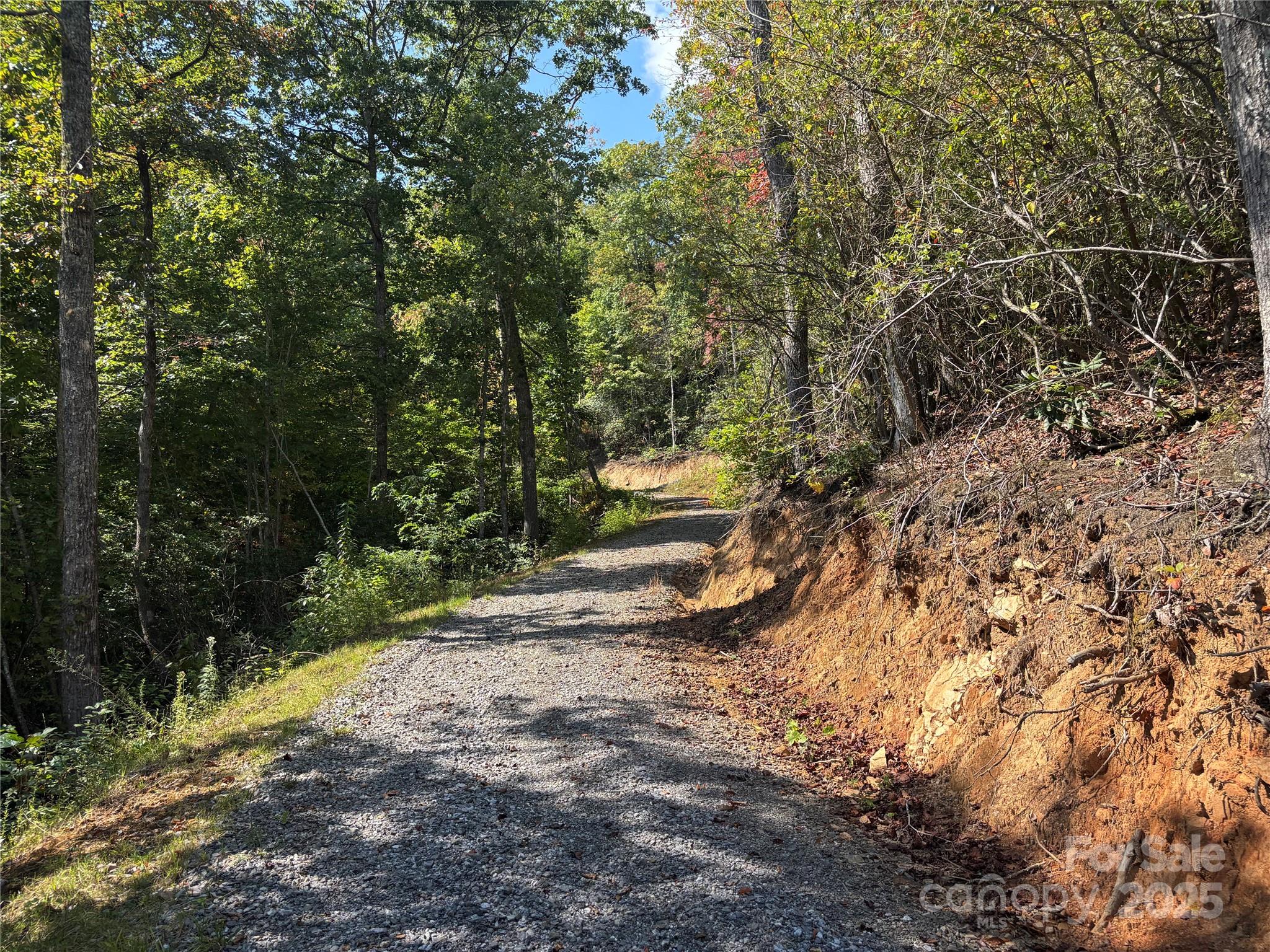 1887 Monteith Branch Road Sylva, NC 28779 - Photo 31 of 35 a view of a yard with plants and trees
