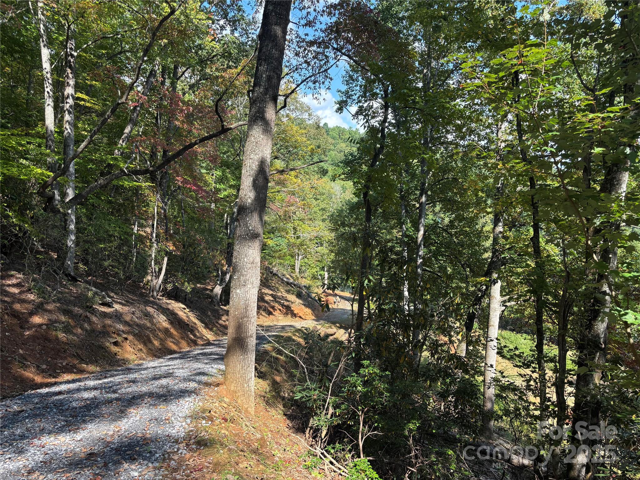 1887 Monteith Branch Road Sylva, NC 28779 - Photo 33 of 35 a view of a forest with trees