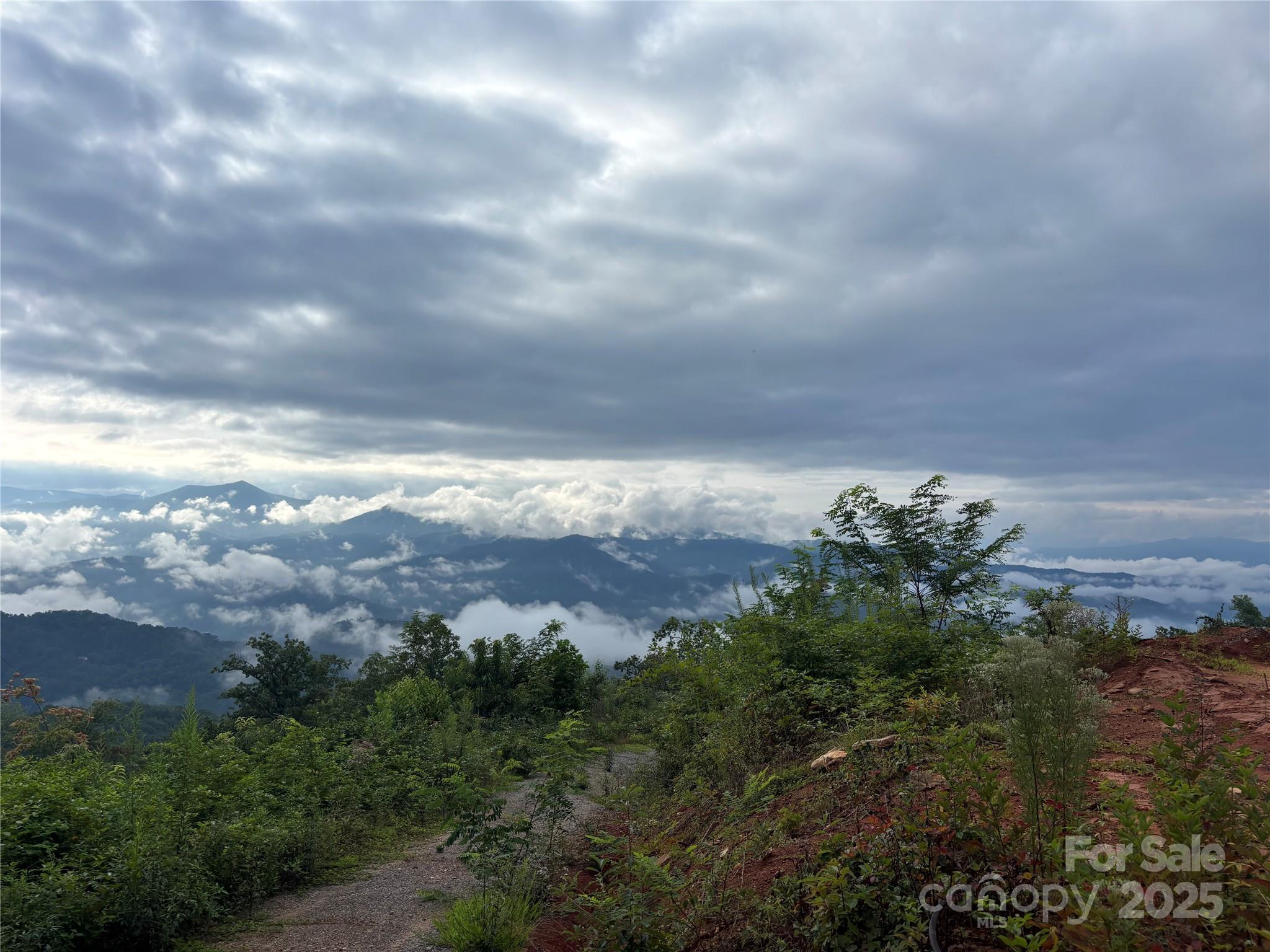1887 Monteith Branch Road Sylva, NC 28779 - Photo 34 of 35 a view of a bunch of trees and houses