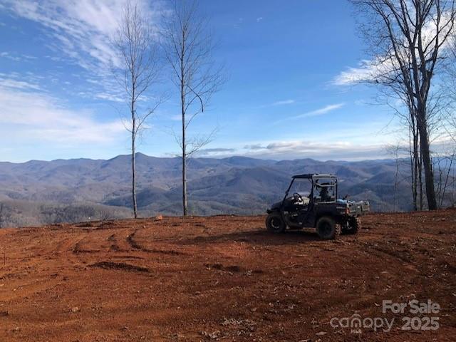 1887 Monteith Branch Road Sylva, NC 28779 - Photo 5 of 35 a view of a road in the middle of a yard