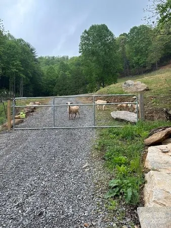 a view of a yard with a bench
