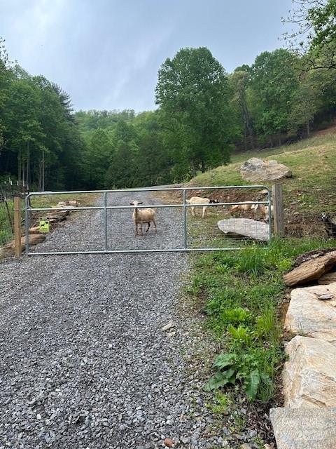 1887 Monteith Branch Road Sylva, NC 28779 - Photo 6 of 35 a view of a yard with a bench