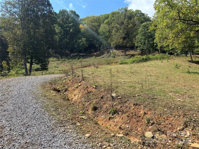 a view of a yard with trees