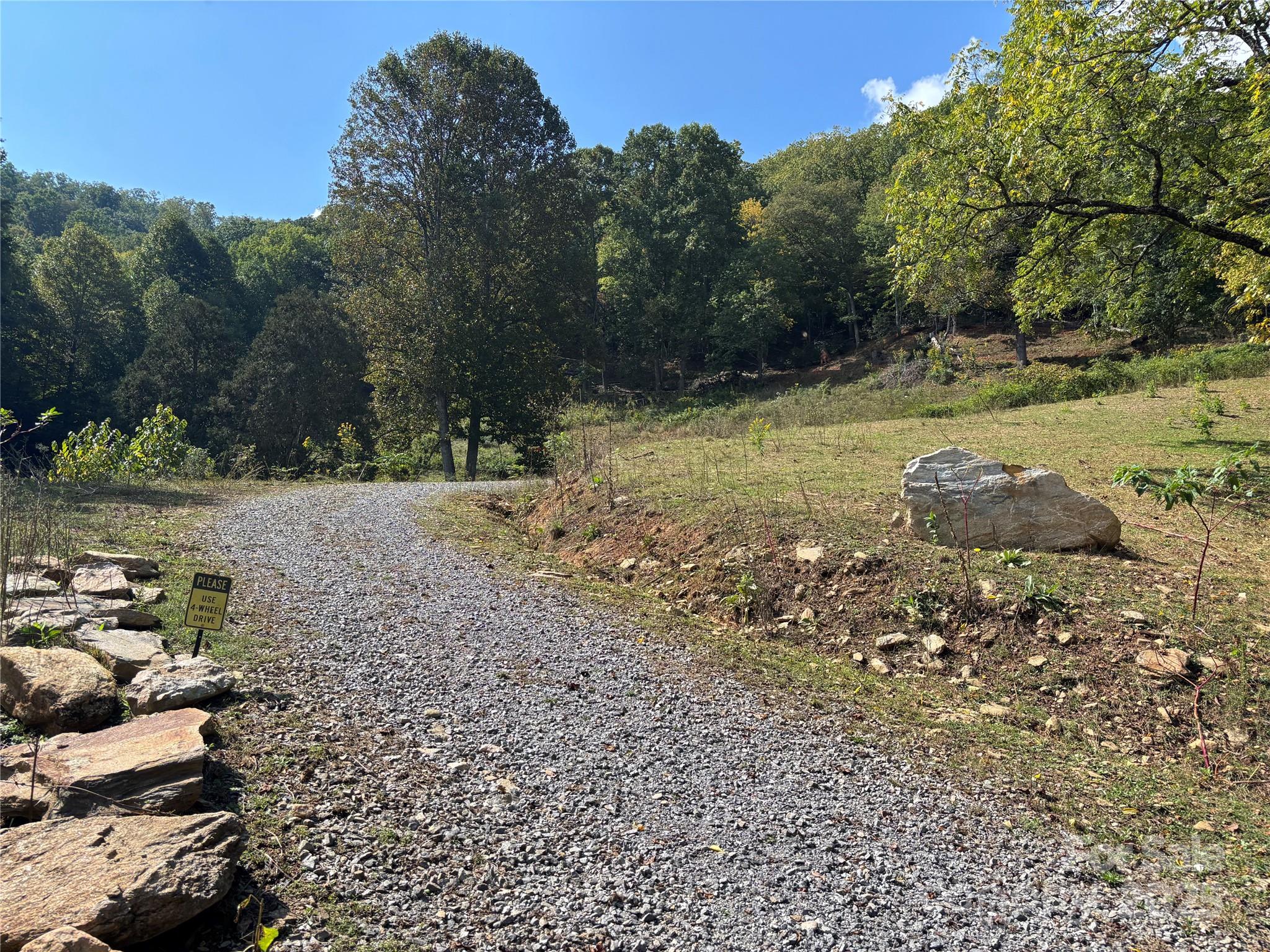 1887 Monteith Branch Road Sylva, NC 28779 - Photo 8 of 35 a view of a yard with a tree