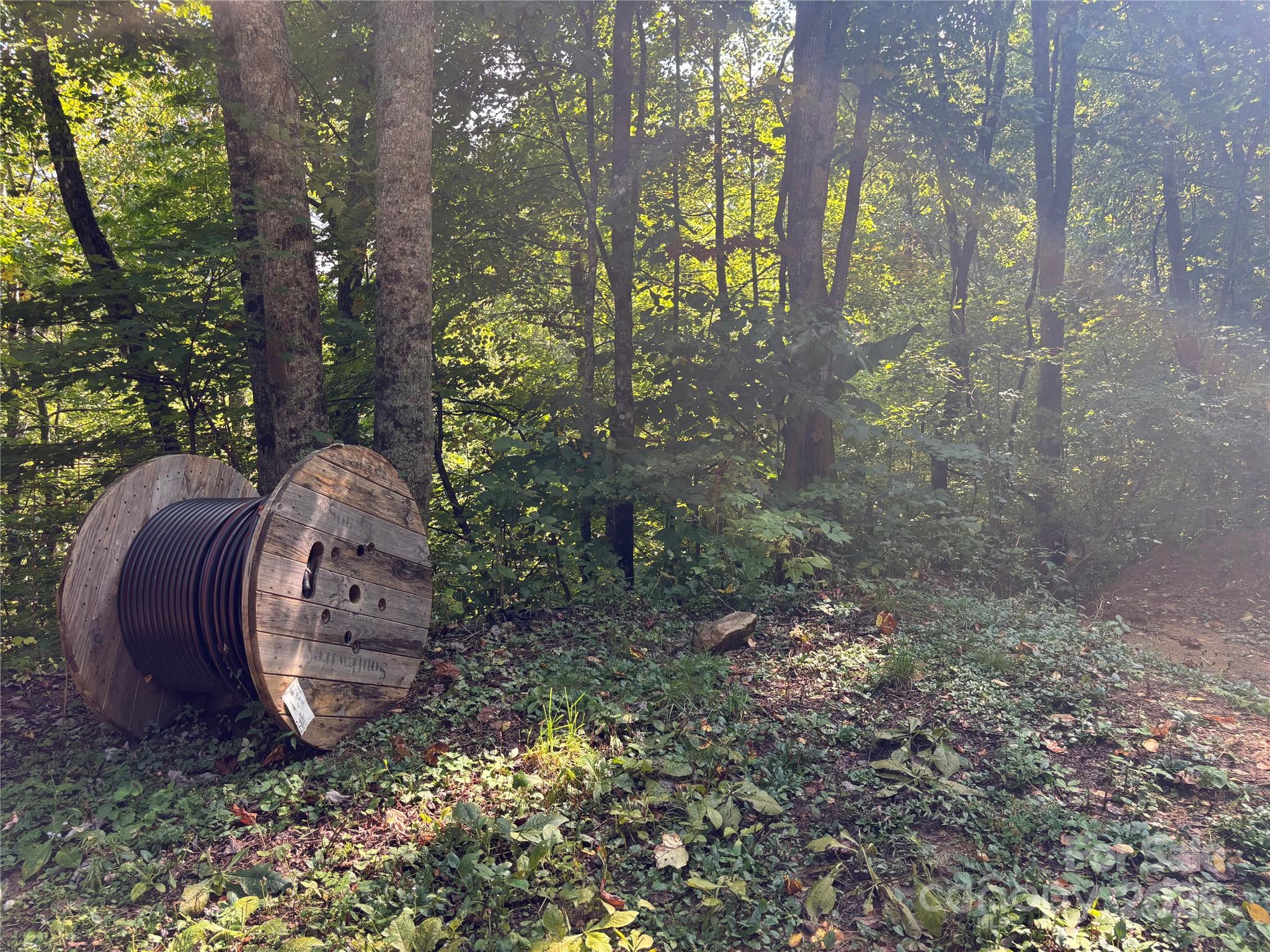 1887 Monteith Branch Road Sylva, NC 28779 - Photo 9 of 35 a view of outdoor space and yard