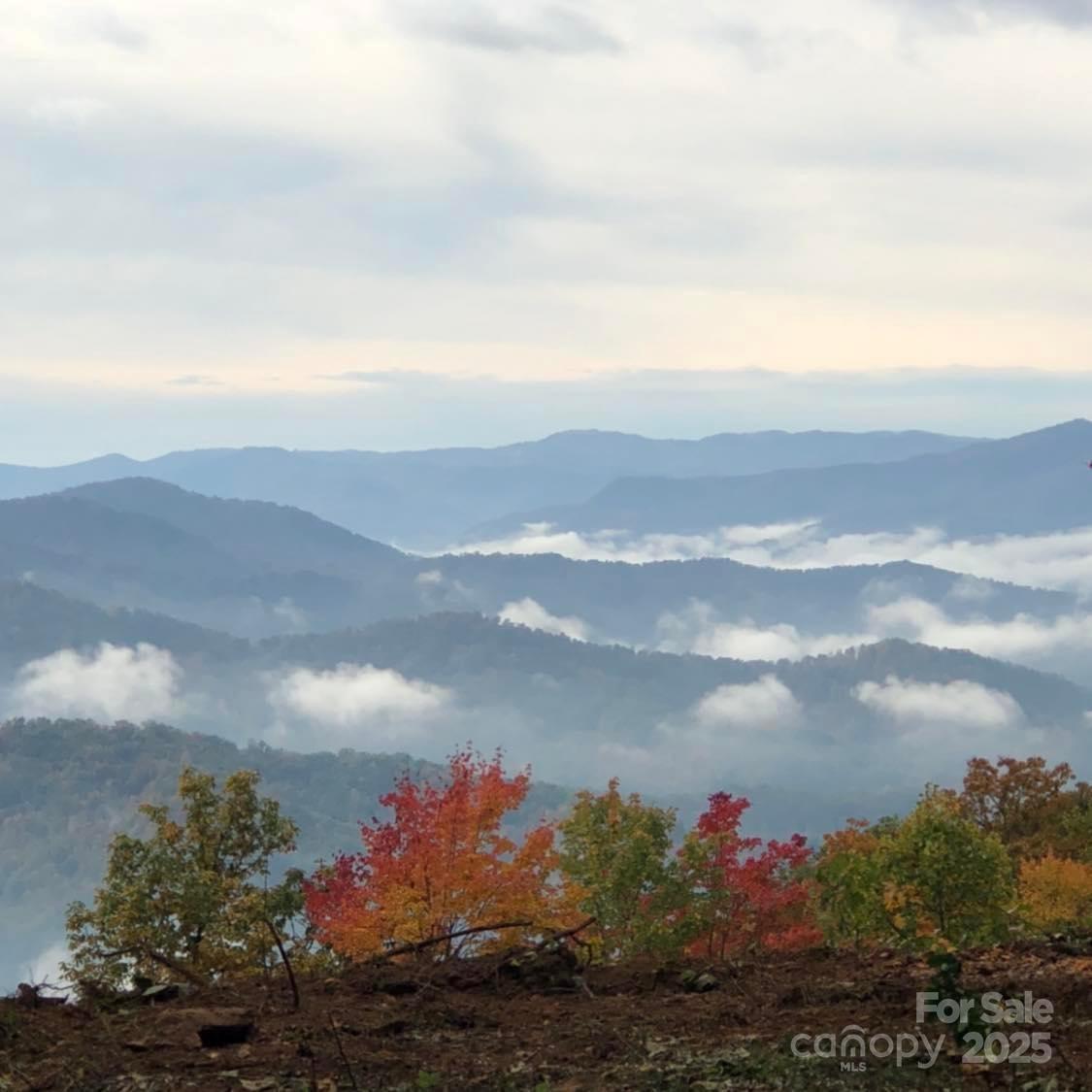 1887 Monteith Branch Road Sylva, NC 28779 - Photo 10 of 35 a view of a lake