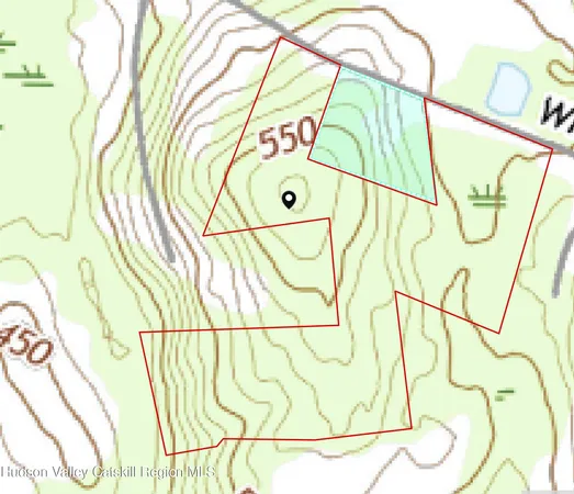 a big yard with lots of green space