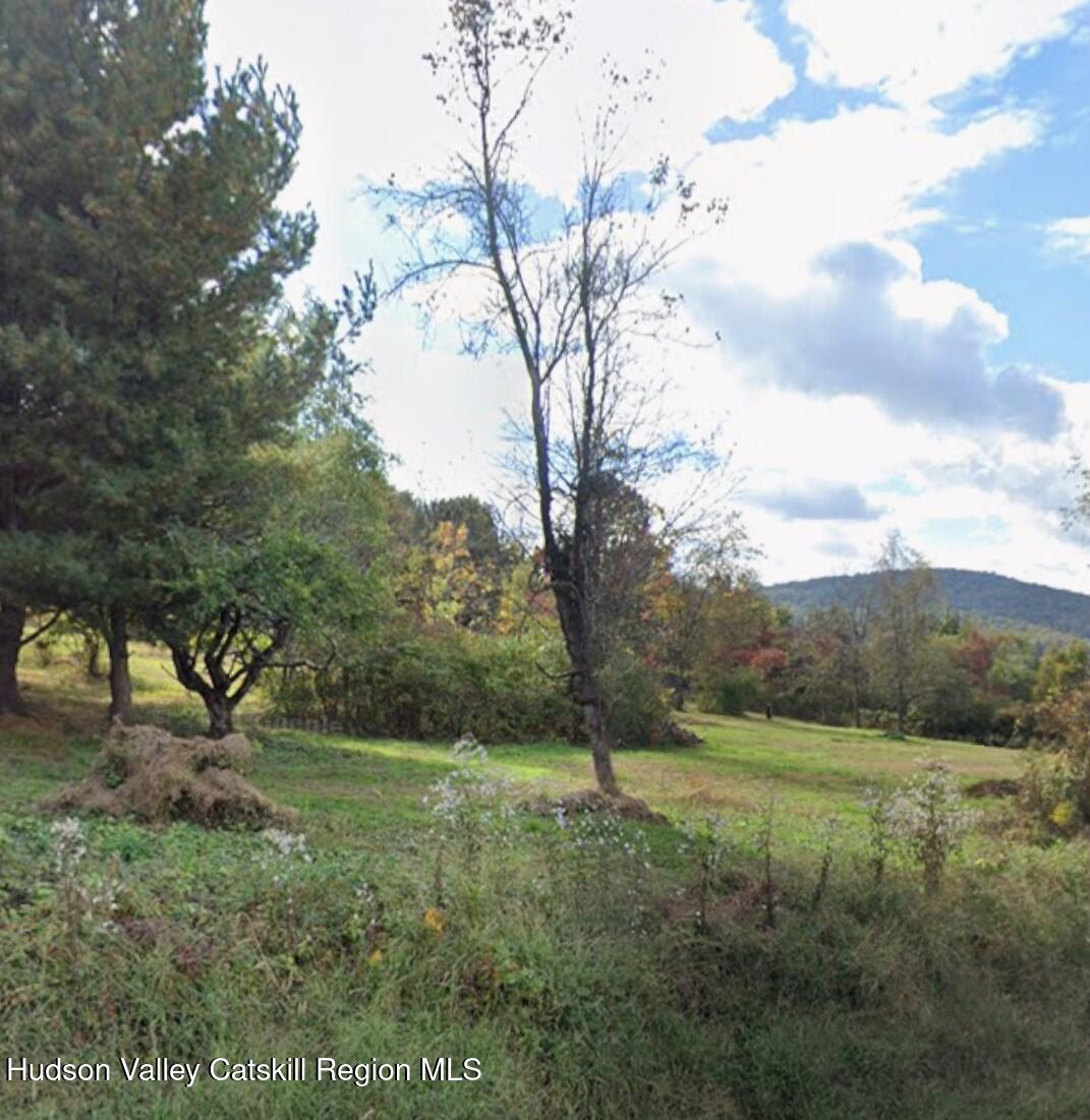 L14 Willow Tree Road Milton, NY 12547 - Photo 5 of 6 a view of outdoor space and yard