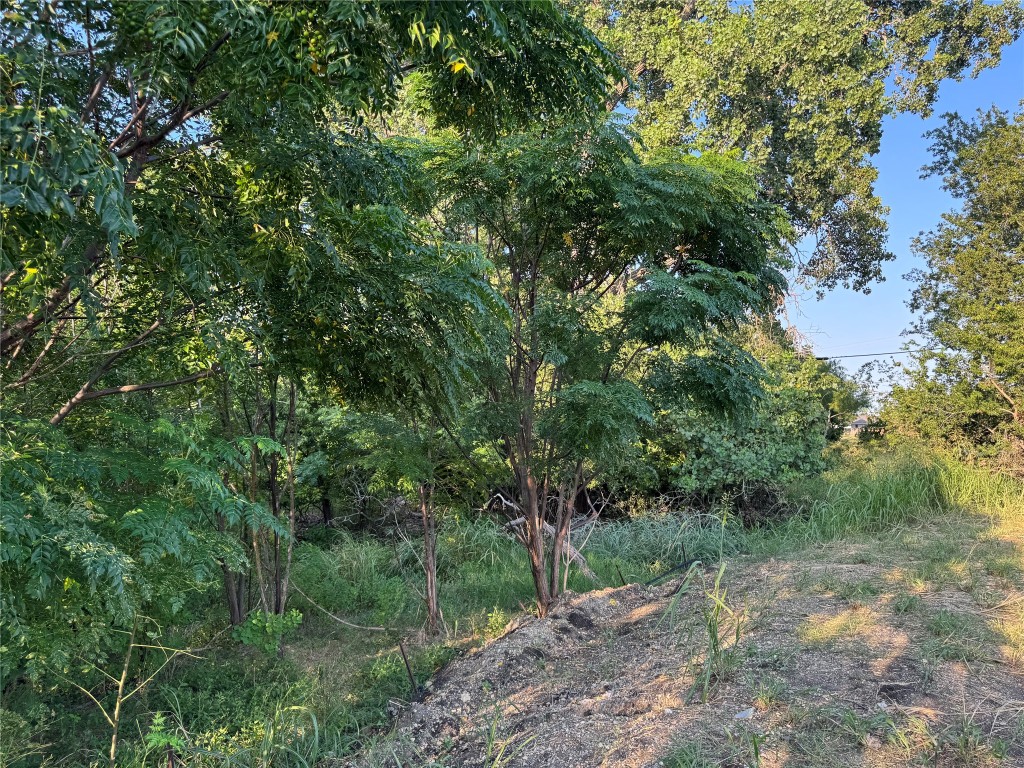 4401 Trimmier Road Killeen, TX 76542 - Photo 4 of 15 a view of a forest with trees in the background