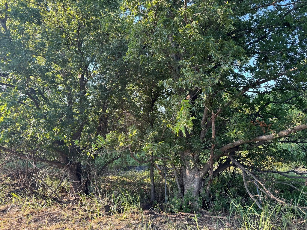 4401 Trimmier Road Killeen, TX 76542 - Photo 9 of 13 a view of a forest with lots of trees