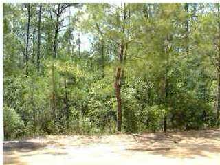 0 Retreat Inlet Baker, FL 32531 - Photo 1 of 1 Gallery Image 1