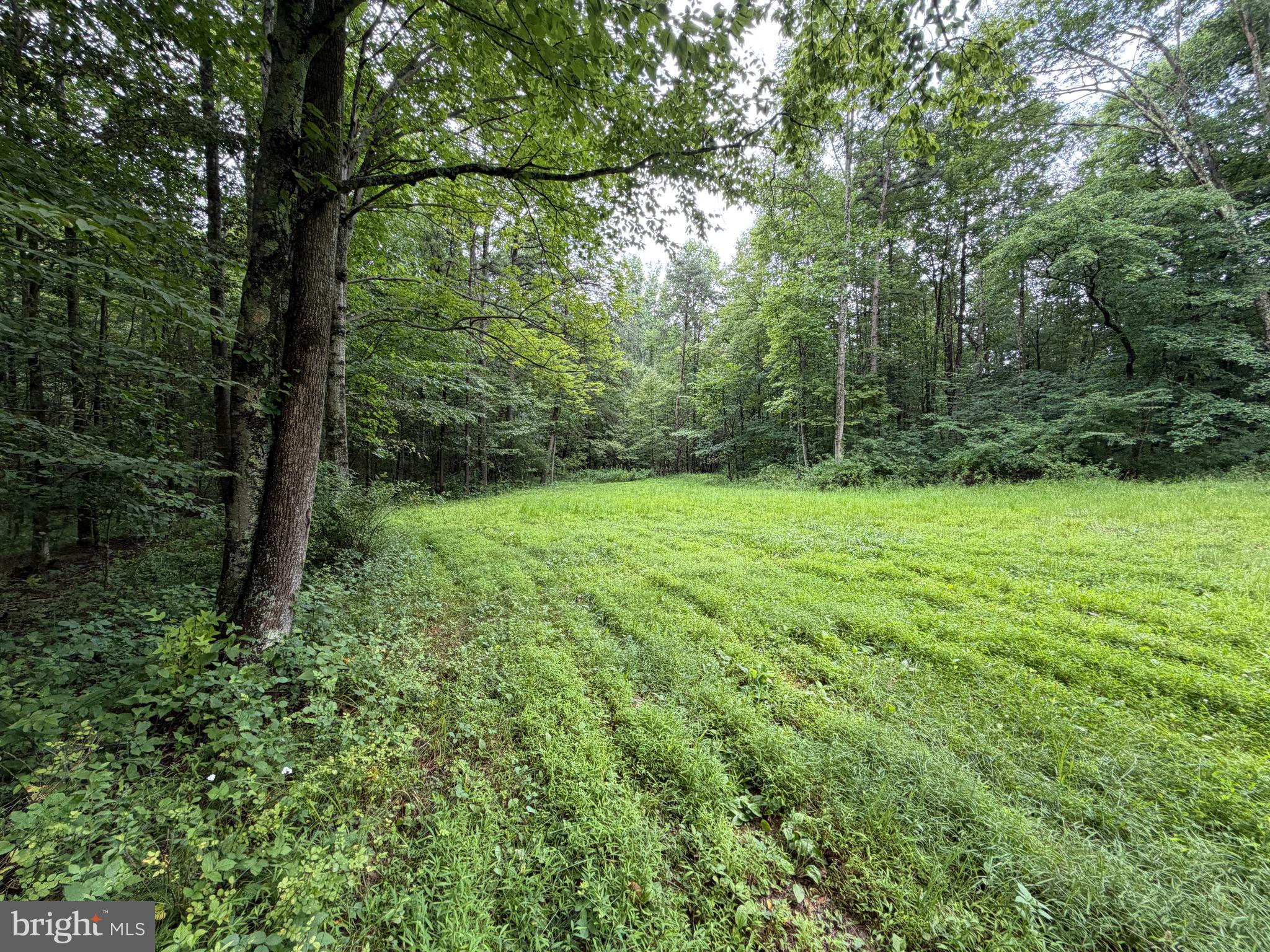17147 Sugar Run Road Shirleysburg, PA 17260 - Photo 136 of 148
