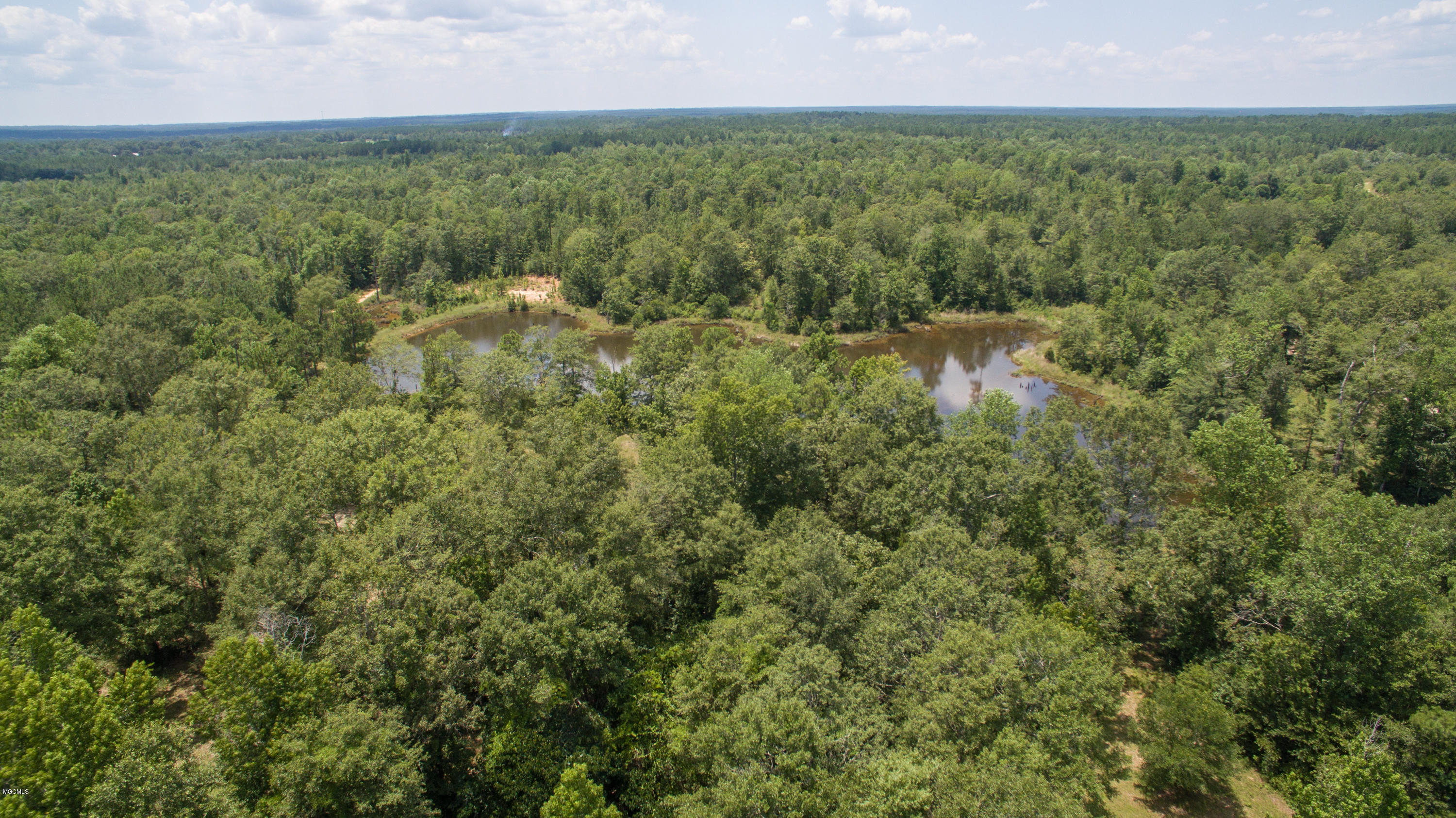22243 Sadler Road Saucier, MS 39574 - Photo 1 of 12 22243 Sadler Road-101