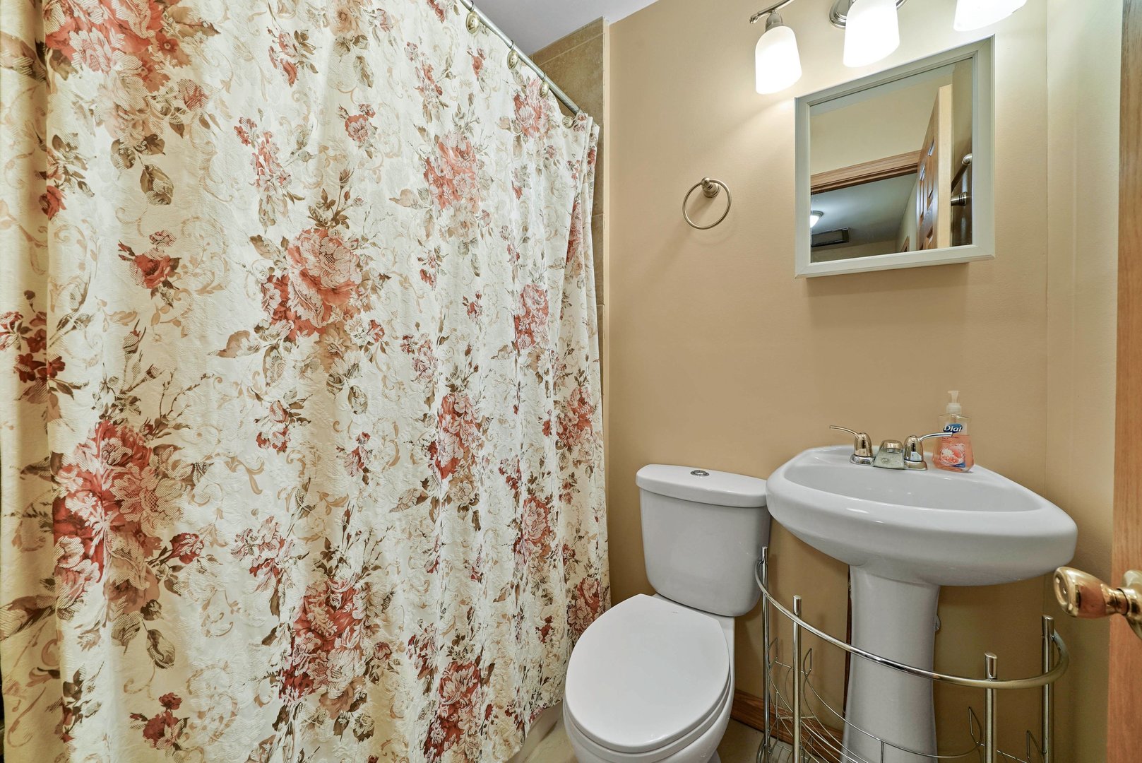 882 Pontiac Lane Carol Stream, IL 60188 - Photo 25 of 30 a bathroom with a sink a toilet and a mirror