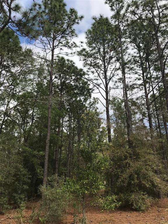 204 Southwest Sw Circle Dunnellon, FL 34431 - Photo 1 of 1 SW 204 CIRCLE LOT