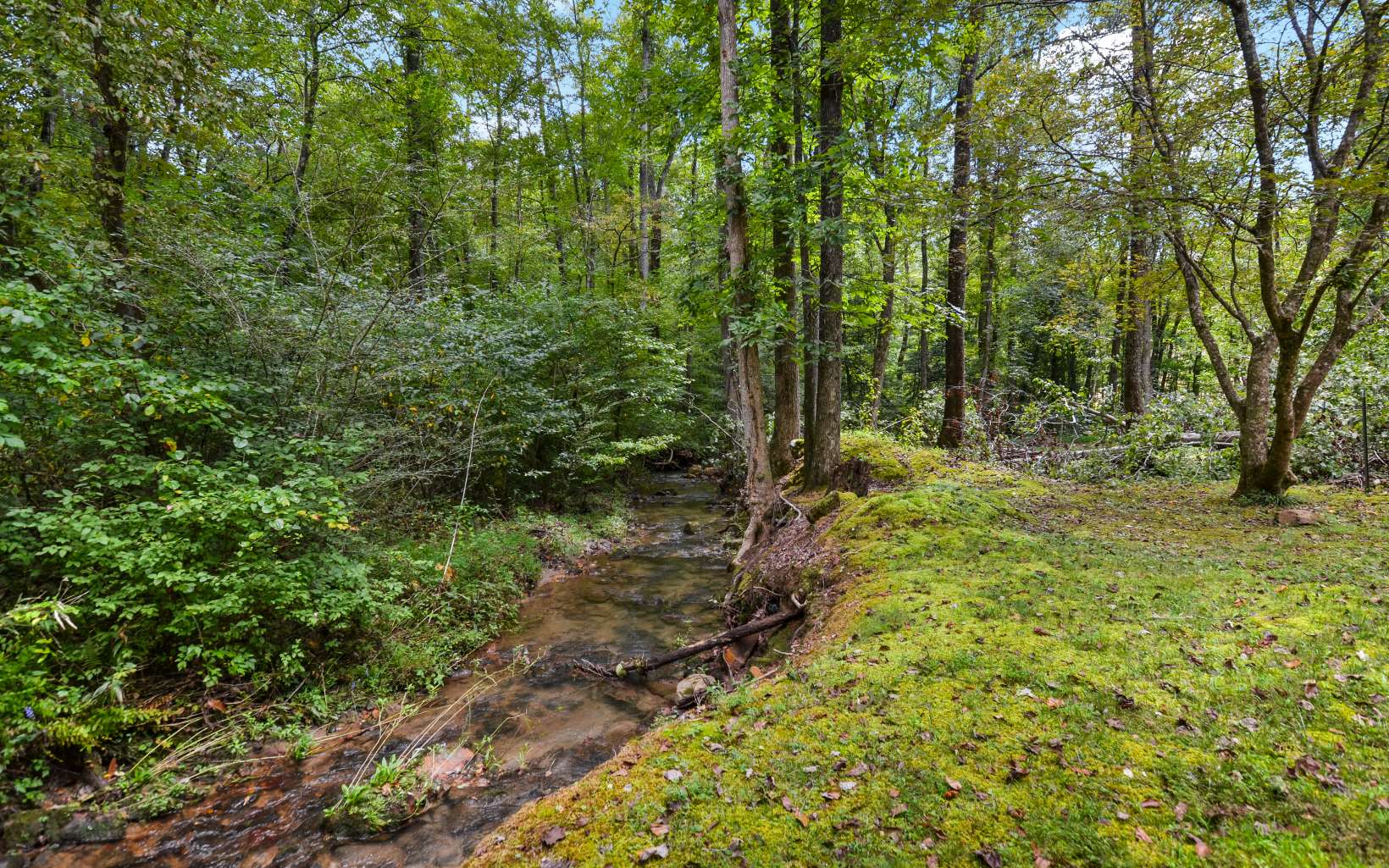 845 Garrett Branch Road Ellijay, GA 30536 - Photo 31 of 37 Additional View