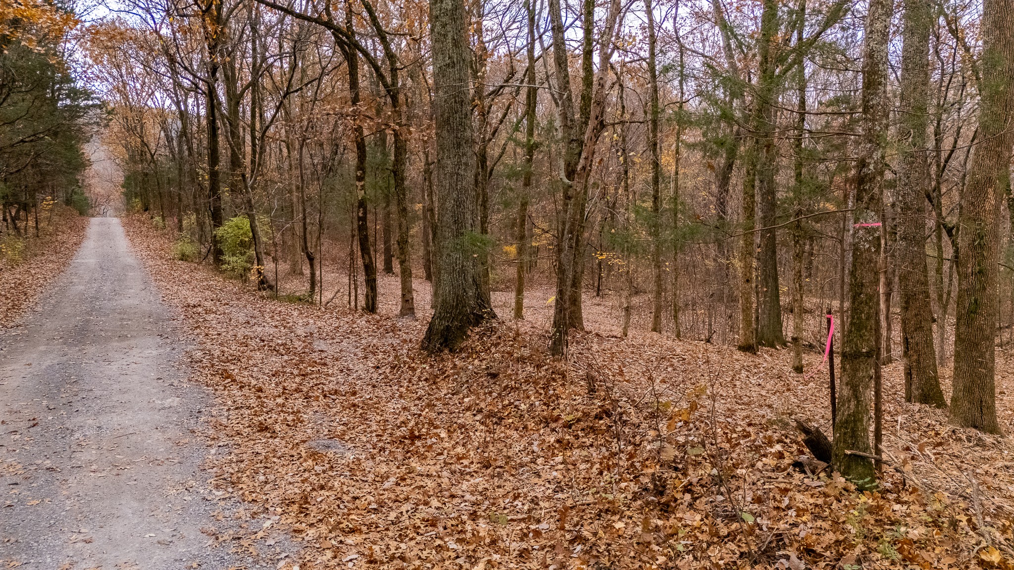 0 York Road Nolensville, TN 37135 - Photo 18 of 18 a backyard of a house with lots of green space