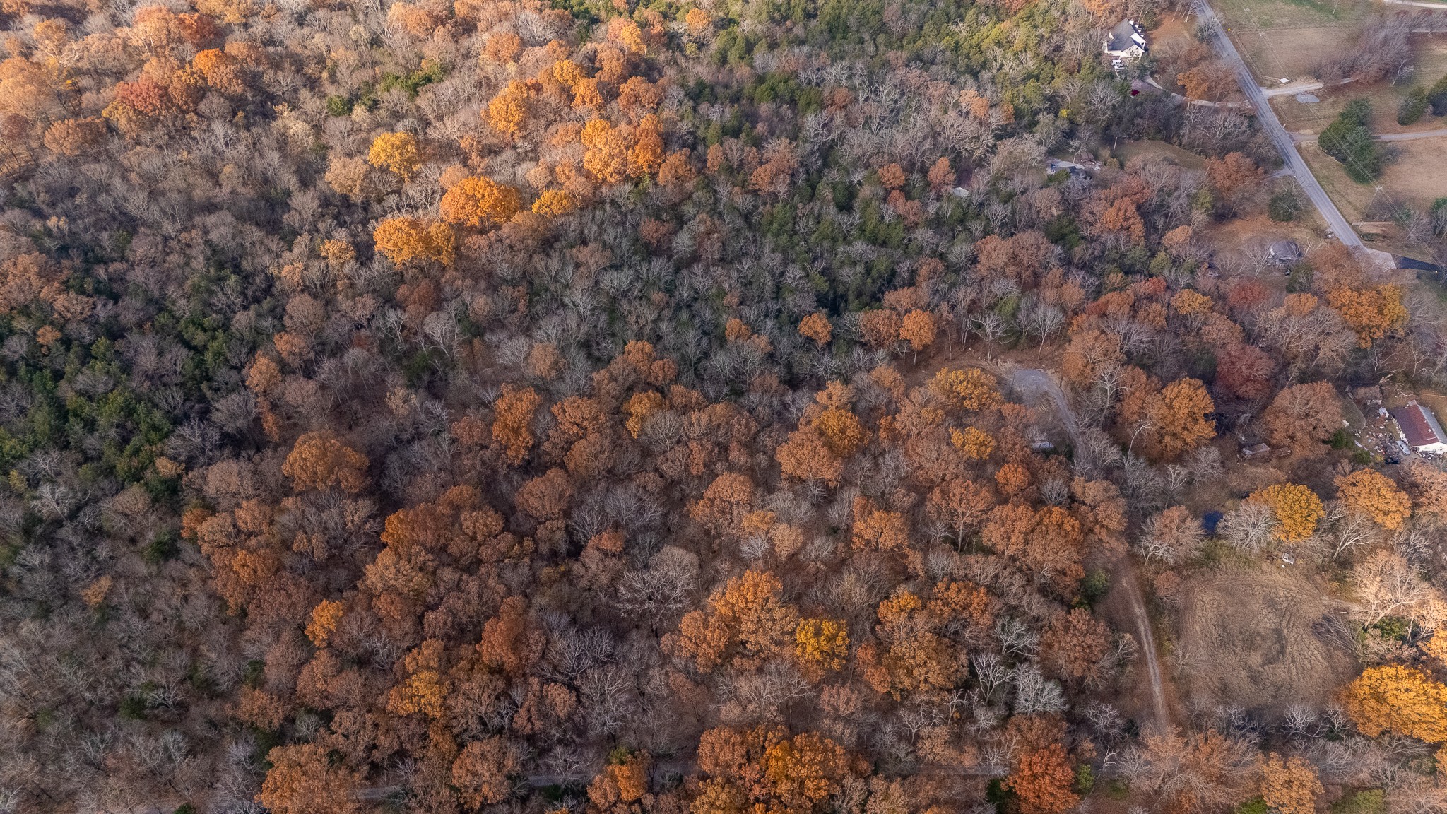 0 York Road Nolensville, TN 37135 - Photo 4 of 18