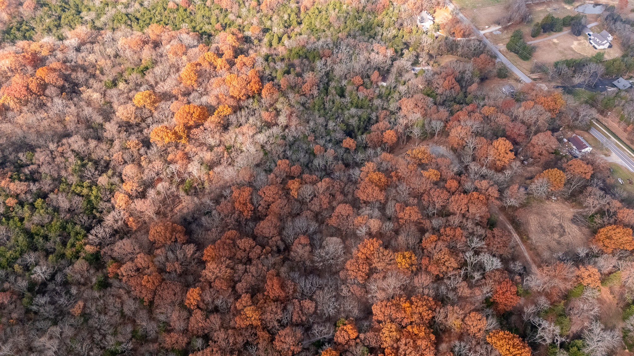 0 York Road Nolensville, TN 37135 - Photo 5 of 18 a view of a covered with trees