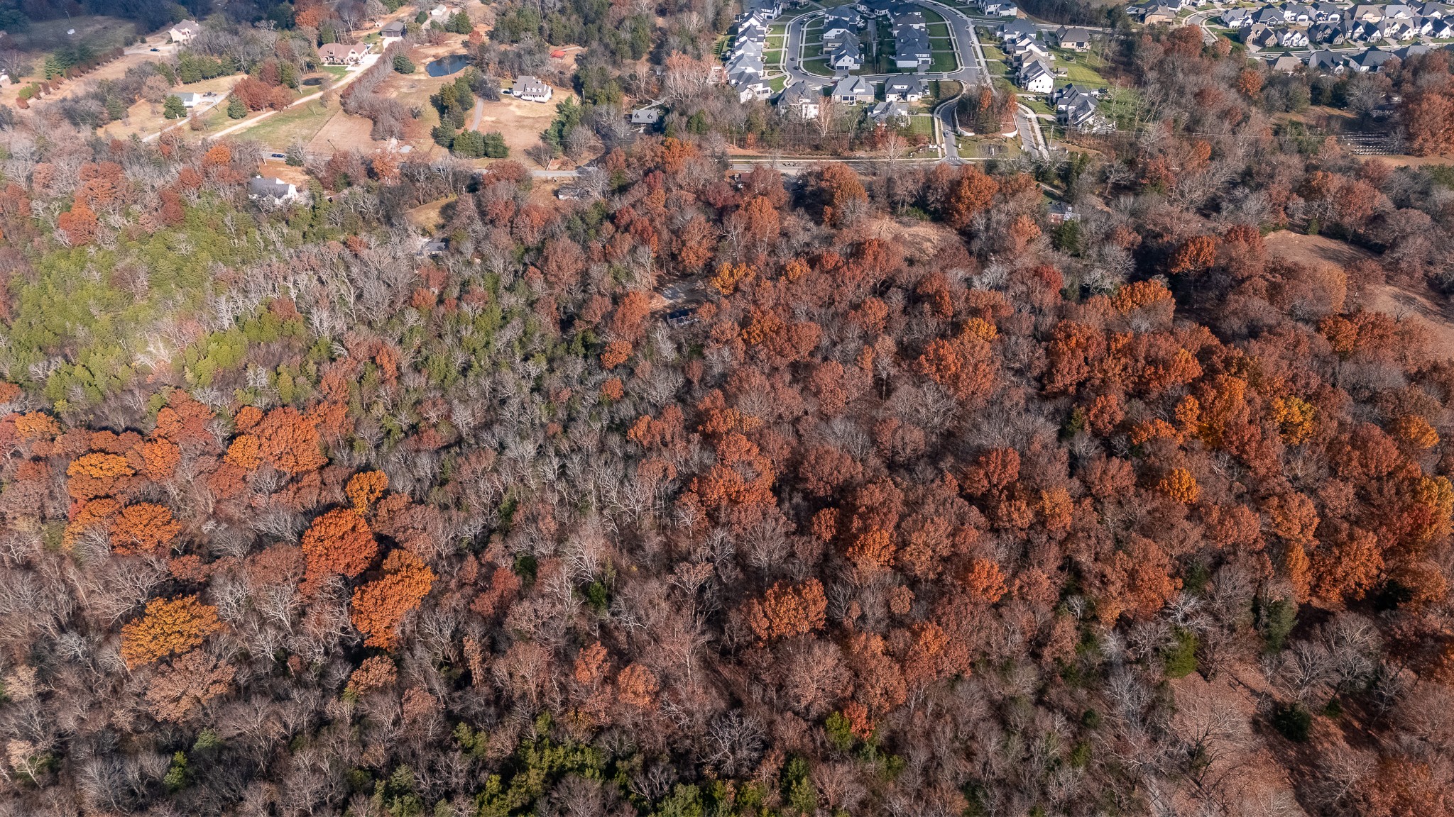 0 York Road Nolensville, TN 37135 - Photo 8 of 18 a view of a tree