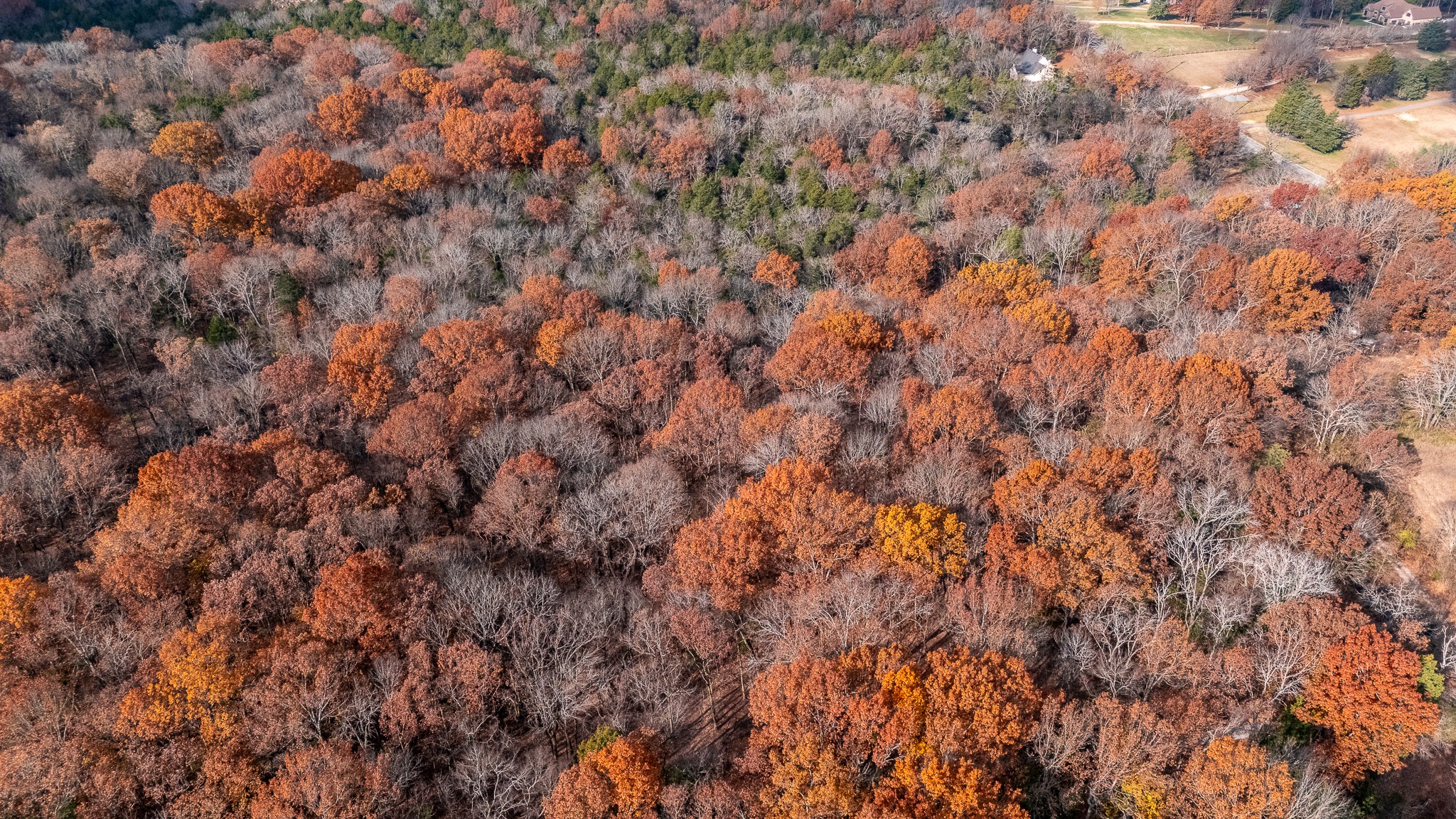 0 York Road Nolensville, TN 37135 - Photo 9 of 18