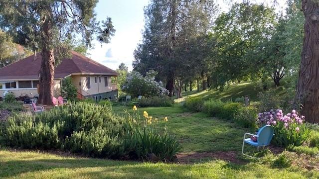 15579 Jesus Maria Road Mokelumne Hill, CA 95245 - Photo 1 of 91 a view of a house with a big yard and potted plants