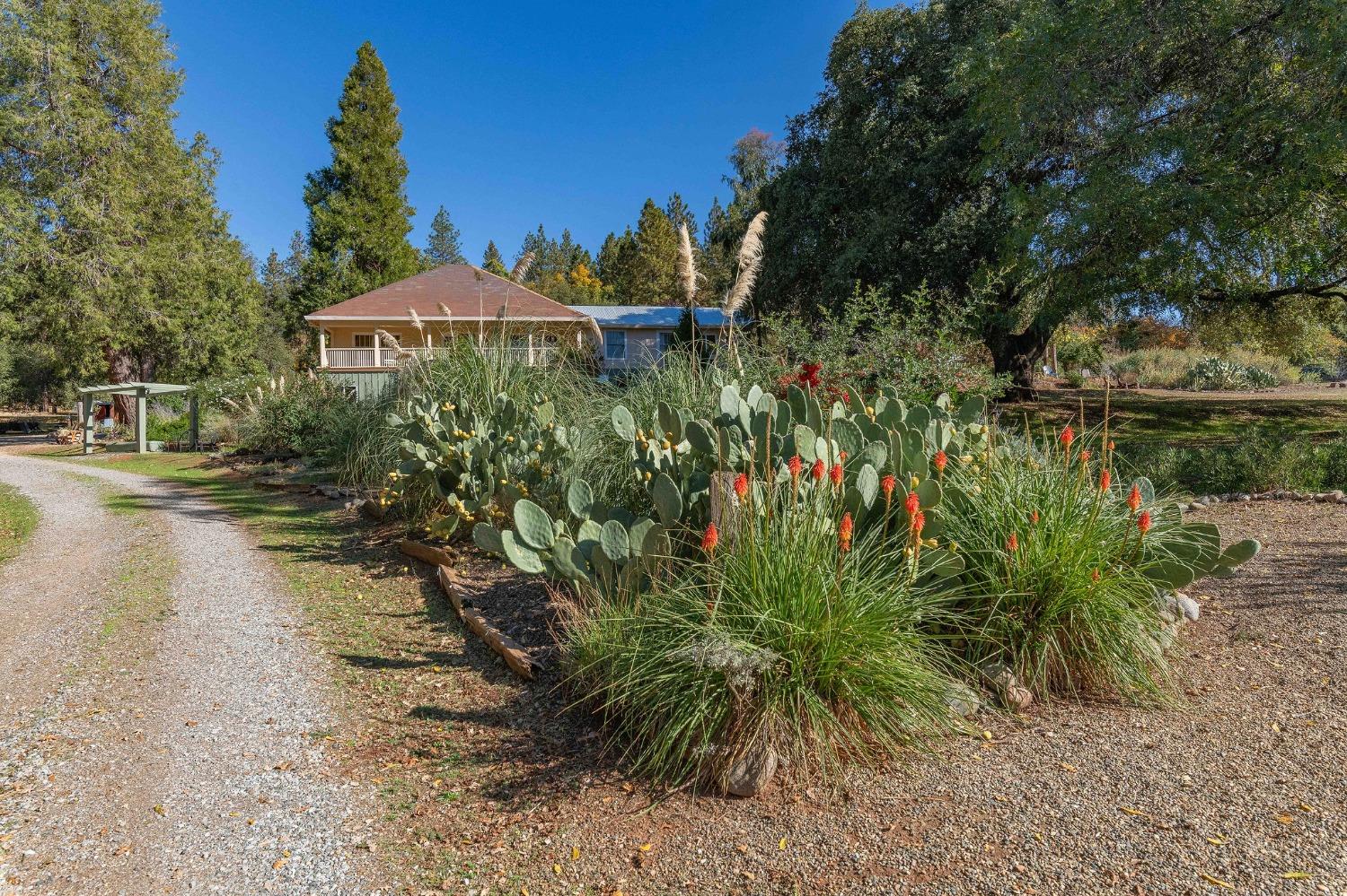 15579 Jesus Maria Road Mokelumne Hill, CA 95245 - Photo 33 of 91