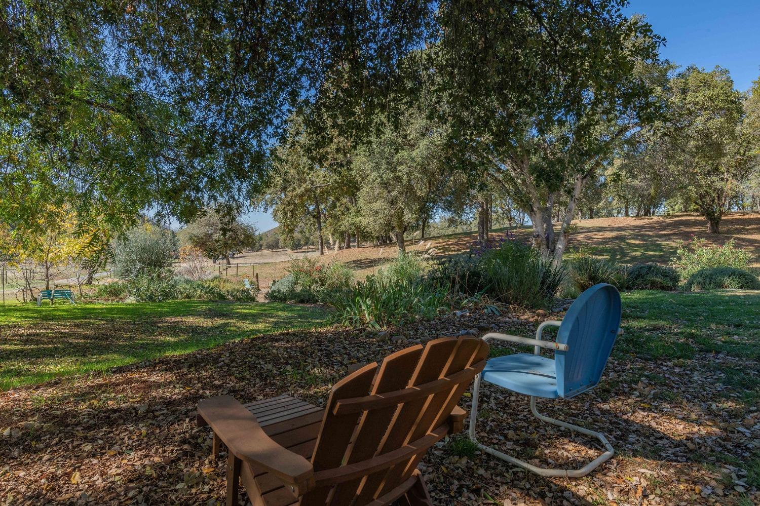 15579 Jesus Maria Road Mokelumne Hill, CA 95245 - Photo 36 of 91