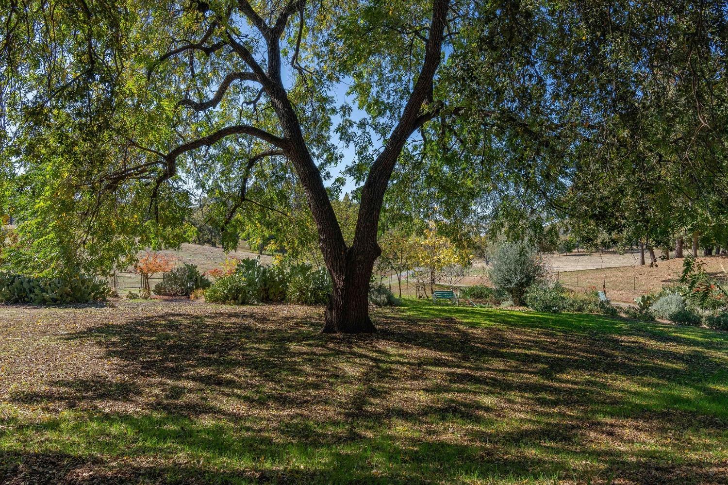 15579 Jesus Maria Road Mokelumne Hill, CA 95245 - Photo 37 of 91