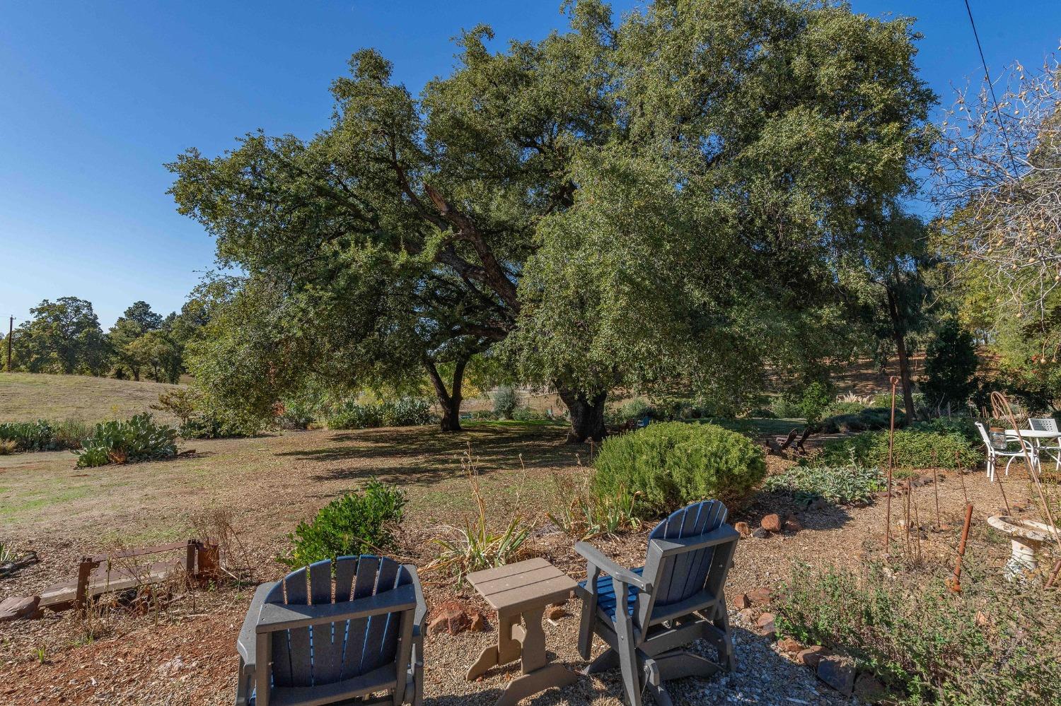 15579 Jesus Maria Road Mokelumne Hill, CA 95245 - Photo 39 of 91 a view of a backyard with table and chairs potted plants and tree