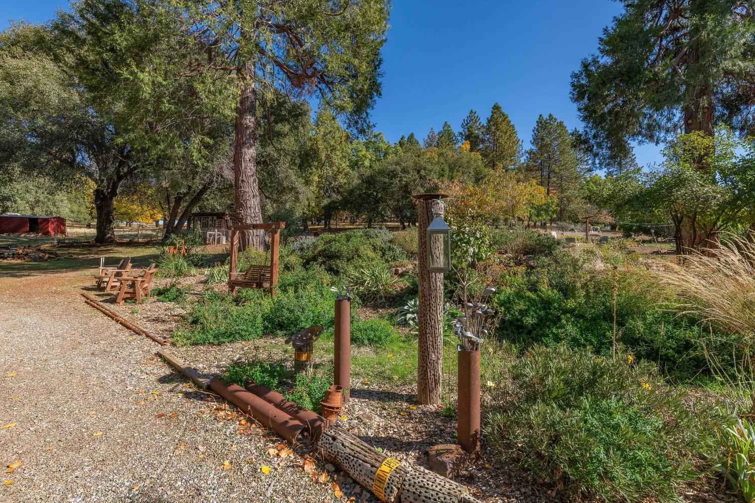 15579 Jesus Maria Road Mokelumne Hill, CA 95245 - Photo 42 of 91