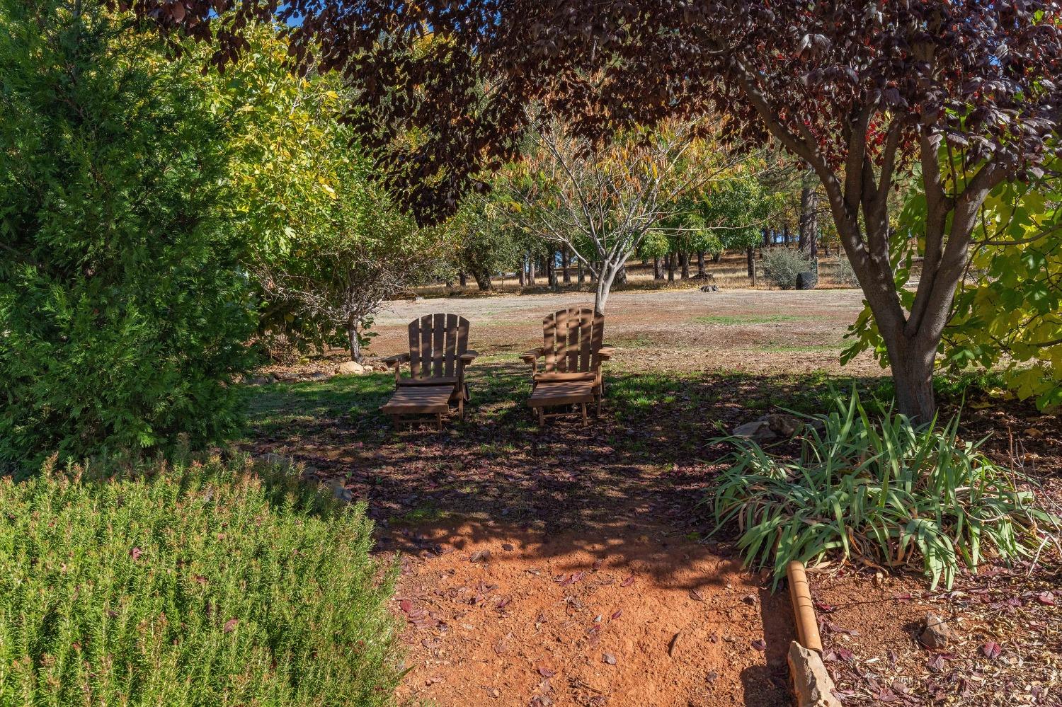 15579 Jesus Maria Road Mokelumne Hill, CA 95245 - Photo 45 of 91